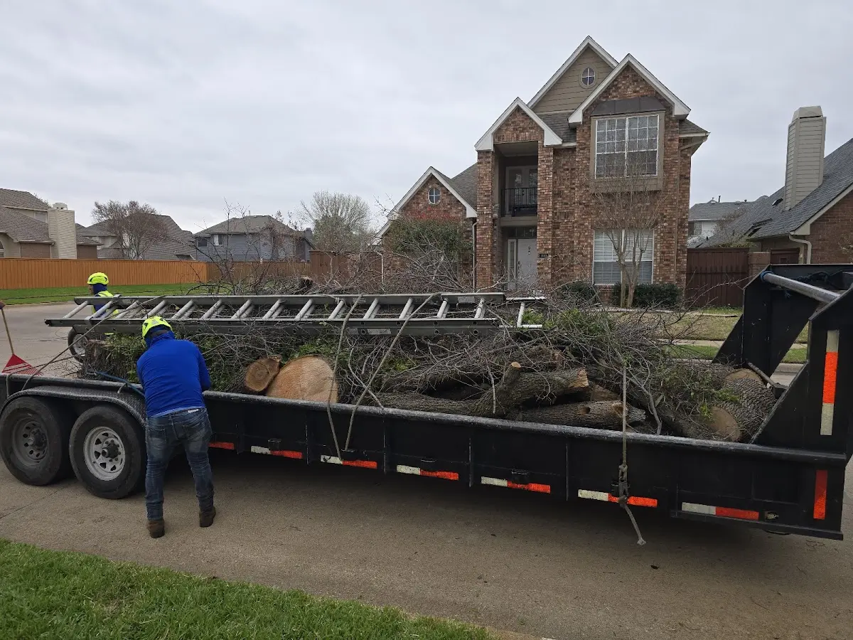 Expert Crown Reduction with proper safety equipment in Grand Meadow